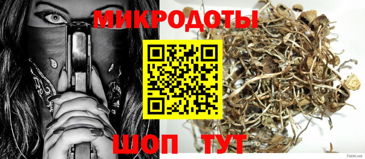 Псилоцибиновые грибы Psilocybine cubensis  Галлюциногенные грибы мицелий  Вход с VPN  Богданович 