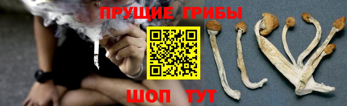 Галлюциногенные грибы MAGIC MUSHROOMS Богданович